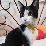 jerry - @catt_jerry - Instagram