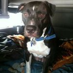 Jerry Catterall - @jerrycatterall - Instagram