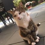 @jerry_cattt - Instagram