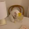 Jerrycatt - @mamamoewry - TikTok