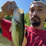 Jerry Chamberlain - @jerrychamberlain - Instagram