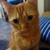 Jerry Charley - Facebook