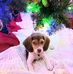 Jerry Chatham - Facebook