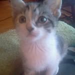 Jerry Chatman III - @jerrychatmaniii - Instagram