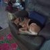 Jerry Chenault - Facebook