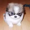 Jerry Richeson - @jerryricheson_3096 - TikTok