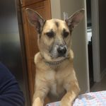 Jerry Chiappetta - @jerrychiappetta - Instagram