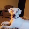 Terry Chiaramonte - @terry.chiaramonte - TikTok