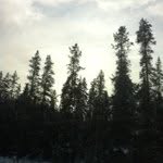 @jerry_chicken - Instagram