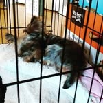 Jerry Chien - @jjchien - Instagram