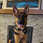Jerry Chilson - @12clyde12 - Instagram