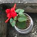 Jerry Choi - Facebook