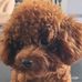 Jerry Choi - Facebook