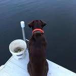 Jerry Christenson - @jerry.christenson.75 - Instagram