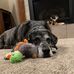Jerry Christenson - Facebook