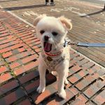 제리츄 - @__jerrychu - Instagram