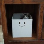 Jerry Clarkson - Facebook