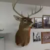 jerryclem0 - @jerryclem0 - TikTok