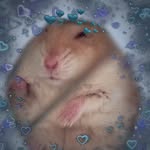 𝓳𝓮𝓻𝓻𝔂_𝓸_𝓱𝓪𝓶𝓼𝓽𝓮𝓇ᥫ᭡ - @jerry_queama_comer - Instagram