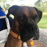 Jerry Comer - @comba70 - Instagram