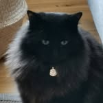 Jerry Comerford - @jerrycomerford - Instagram