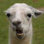 Jerry Comstock - @comstockjerry - Instagram