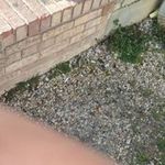 Jerry Cornish - @cornish.jerry - Instagram