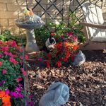 Jerry Costello - @jerrycostello85 - Instagram