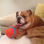 Jerry Costello - @gjc320 - Instagram