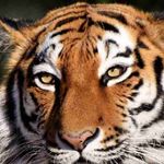 Jerry Costello - @jerrycostello56 - Instagram