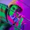 Jerry Cricket - @il_jerry_cricket - TikTok