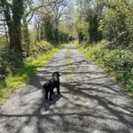 Jerry Cronin - @jeremiahmcronin - Instagram