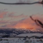 Jerry Cronin - @jerrycronin3623 - Instagram