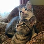Ben & Jerry Crooks - @ben_and_jerry_crooks - Instagram