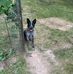Jerry Crowley - Facebook