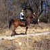 Jerry Culberson - Facebook