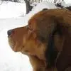 Jerry Culp - @jerry.culp8 - TikTok