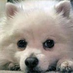 Jerry Culpeper - @culpeper.jerry - Instagram