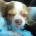 Jerry Currie - Facebook