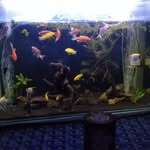 Jerry dankers - @jerr1638 - Instagram