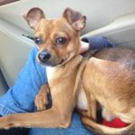 Jerry Tyson Darby - @jerrytysondarby - Instagram