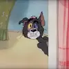 Dark humor cartoons TAJ - @darktomjerryjokes - TikTok