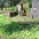 @jerry__dark__ - Instagram