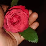 @jerry_darling_ - Instagram