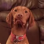 Jerry Darlington - @darlingtonjerry - Instagram