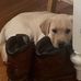 Jerry Darr - Facebook