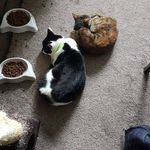 Sarah Jerry Deacon - @sarahjerrydeacon - Instagram