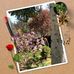 Jerry Deatherage - Facebook