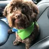 jerrydeatherage17 - @jerrydeatherage17 - TikTok