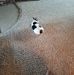 Jerry Deaver - Facebook
